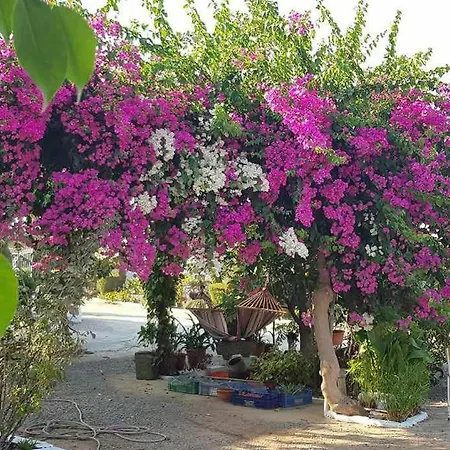 Little Paradise * Sotira (Famagusta)