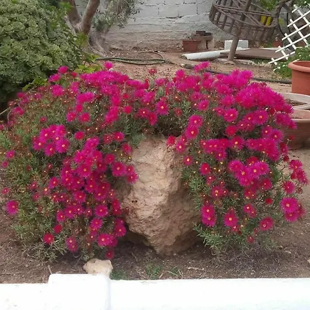 Little Paradise Holiday home Sotira (Famagusta)