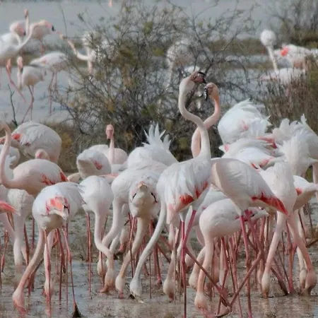 Little Paradise Sotira (Famagusta)