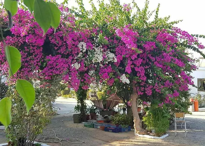 Little Paradise * Sotira (Famagusta)