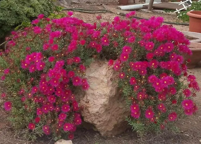 Little Paradise 펜션 Sotira (Famagusta)