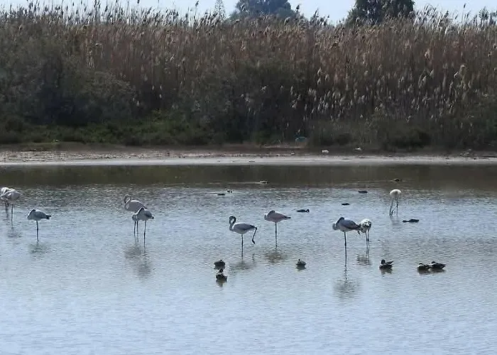 Little Paradise * Sotira (Famagusta)