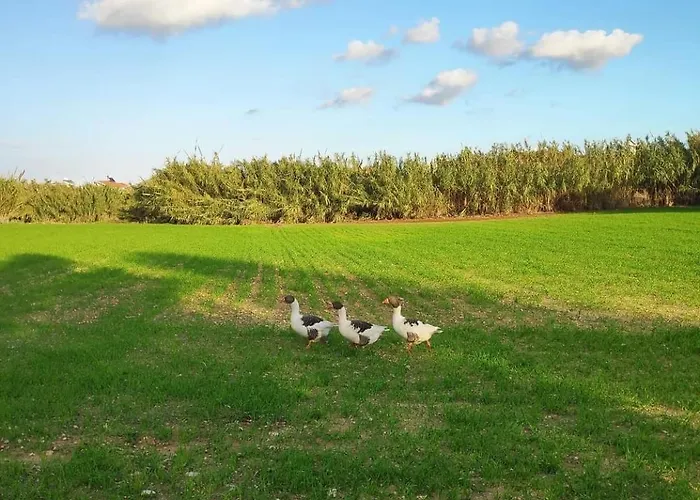 펜션 Little Paradise *