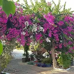 Little Paradise * Sotira