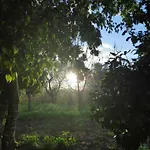 Little Paradise