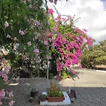 Little Paradise