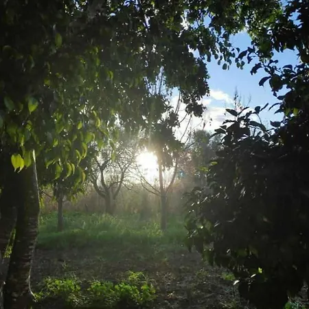 Little Paradise