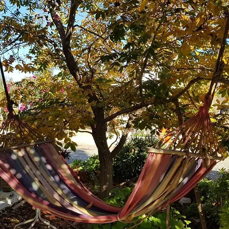 Tatil Evi Little Paradise *