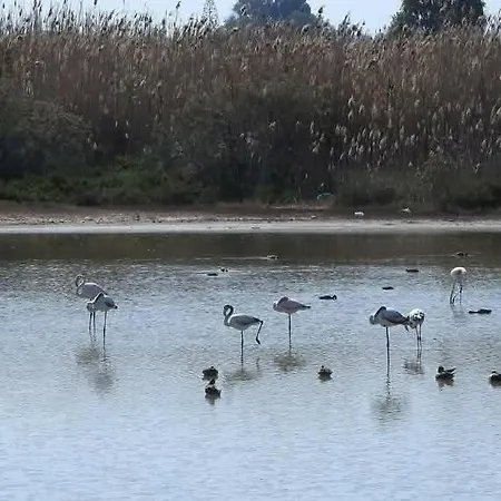 Little Paradise * Sotira (Famagusta)