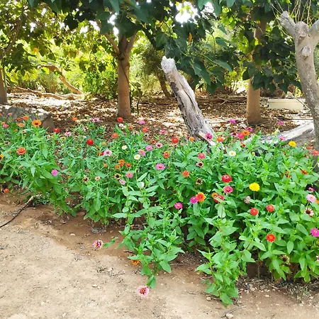 度假居 Little Paradise Sotira (Famagusta)