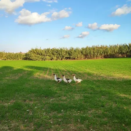 度假居 Little Paradise *