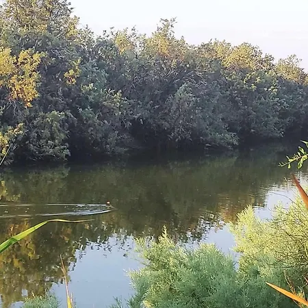 Little Paradise 度假居