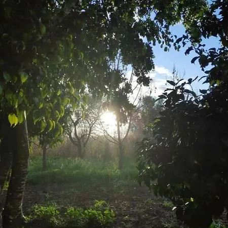 Little Paradise Sotira (Famagusta)