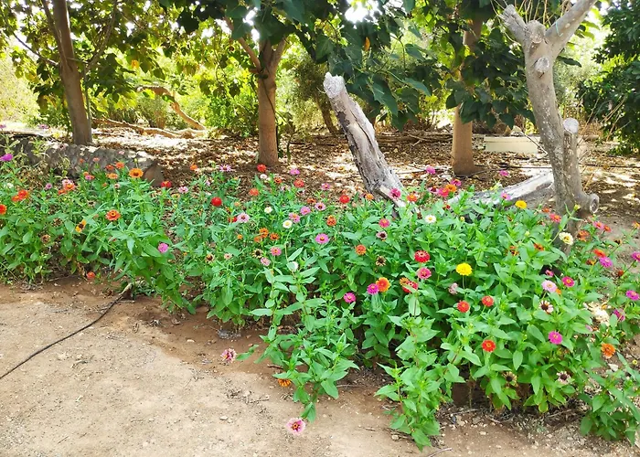 Prázdninový dům Little Paradise Sotira (Famagusta)