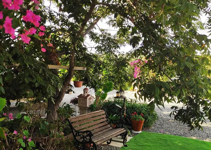 Little Paradise Sotira