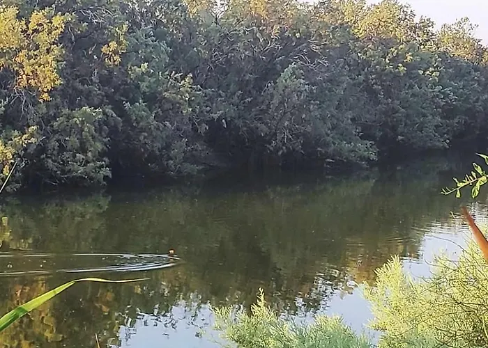 Little Paradise Prázdninový dům